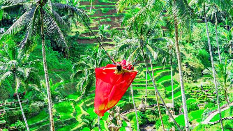 Ubud Giant Jungle Swing & Tegallalang Rice Terrace - View 2