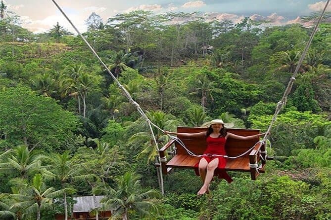 Ubud Giant Jungle Swing & Tegallalang Rice Terrace - View 4