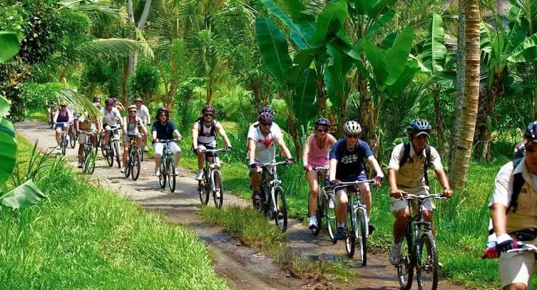 Kintamani Volcano to Ubud Downhill Cycling Tour - View 4