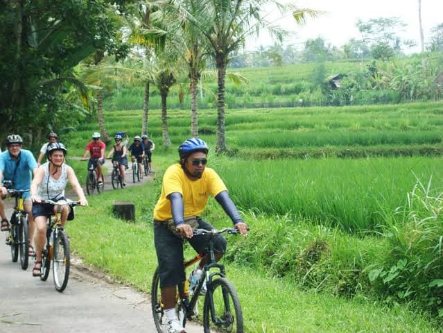 Ubud Hidden Countryside & Rice Terrace Bike Tour - View 4
