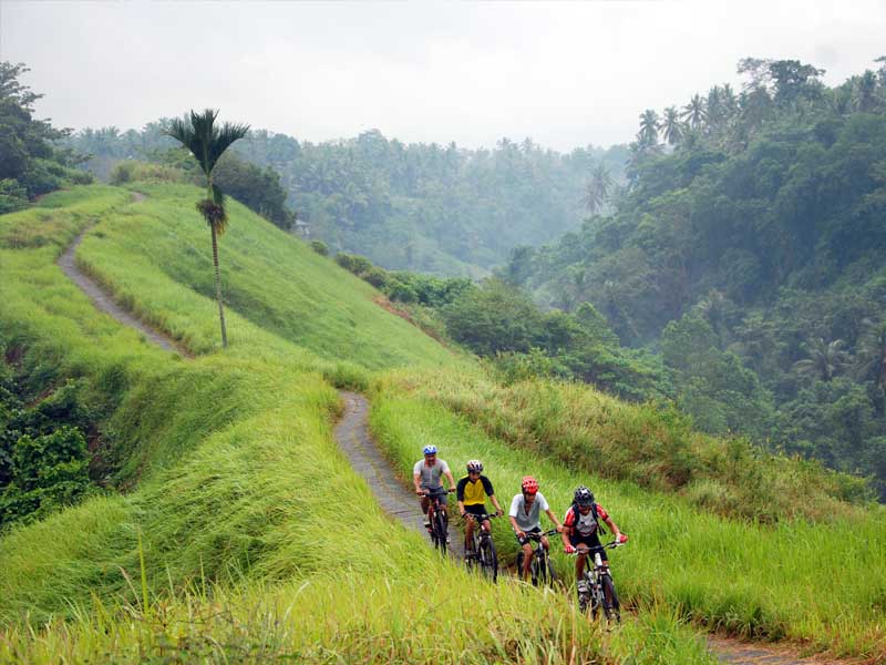 Kintamani Volcano to Ubud Downhill Cycling Tour